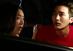 korean couple having rough sex in the car